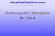 Homeopathic remedies for gout