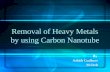 Removal of heavt metals by cn ts