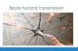 Neuro humoral transmission