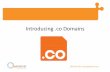 Introducing .CO Domains