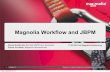 Get the Maximum Out of Your Magnolia Workflow