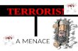 Presenation on Terrorism a Menance