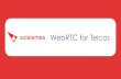 WebRTC for Telcos by Solaiemes