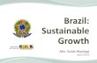 Brazil Ministry of Finance - Presentation