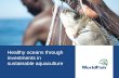 Healthy oceans through investments in sustainable aquaculture