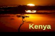 Kenyan Presentation