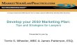 Develop Your 2010 Marketing Plan Osba Final Presentation