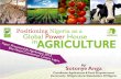 Positioning nigeria as a global power house in agriculture by sotonye  anga