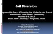 Introduction to Jail Diversion