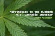 Agroterrorism and Agro Crime to United States Cannabis Industry
