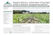 Agriculture, Climate Change and Carbon Sequestration