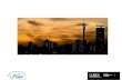 Megapolis 2025: Rhythms of the city, rhythms of the suburbs: life and change in Johannesburg