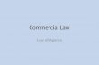 Commercial law agency