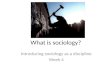 What is sociology sept 2013