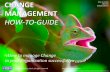 Change Management - How to manage change in your organization successfully  - A manual for HR and non-HR professionals