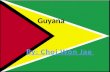 Ppt about guyana