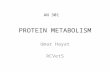 Protein Metabolism (Animal Nutrition)