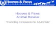 Hooves & Paws Animal Rescue & Adoption