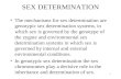 Sex determination and nondisjunction