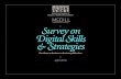 Survey on Digital Skills & Strategies