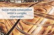 Social media collaboration within a complex organization