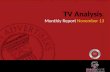 Pakistan Tv Analysis Monthly Report November'13
