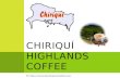Chiriquí highlands coffee