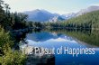 The pursuit of happiness 3