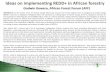 Some Ideas on Implementing REDD+ in African Forestry