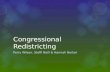 Congressional redistricting