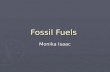 Fossil fuels ppw
