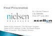 The nielsen company s.i.p report