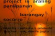 *** barangay socorro ***