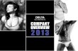 Delta companypresentation june2013