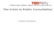 The Crisis in Public Consultation