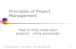 Project Management - Project Bailout -