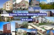 Zoning Tools for Mixed-use Districts