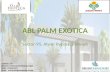 Abl Palm Exotica Sec-95 Bhiwadi Gurgaon - Adarsh Build Estate