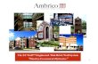 Ambrico Architect Presentation