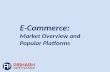 E-Commerce Market Overview and Platforms