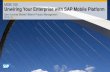Unwiring Your Enterprise with SAP Mobile Platform