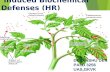 Biochemical plant defences(HR)