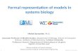 Formal representation of models in systems biology