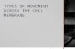 Types of movement across the cell membrane