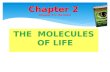 Molecules of life 9th grade