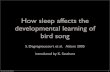 How sleep affects the developmental learning of bird song
