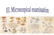 Microscopical analysis