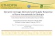 Dynamic Acreage Demand and Supply Response of Farm Households in Ethiopia