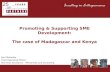 Promoting and supporting SME development - Welcome to the United ...