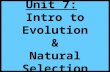 Biology unit 7 evolution intro to evolution and natural selection notes